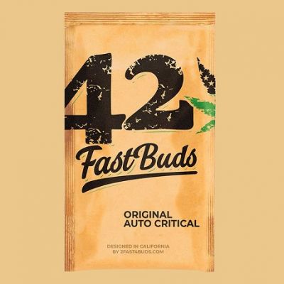 Original Auto Critical - Fast Buds