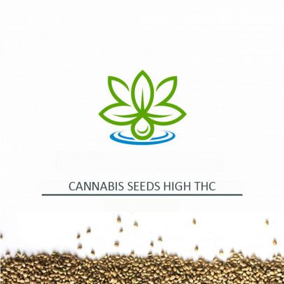 Cannabis-Seeds-High-THC