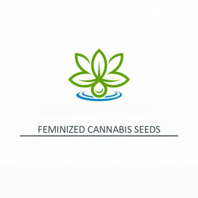 Feminized-Cannabis-Seeds