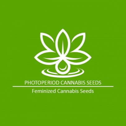 Photoperiod-Feminized-Cannabis-Seeds