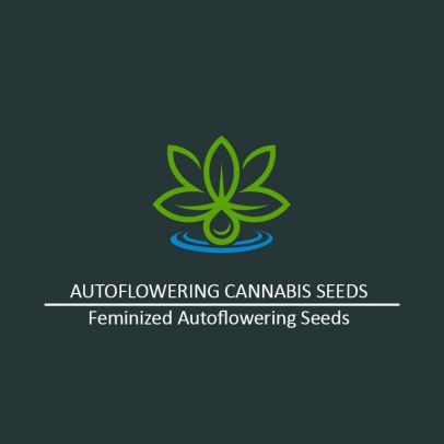 autoflowering-cannabis-seeds